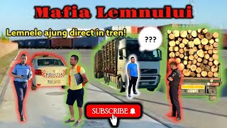 Mafia Lemnului! | ISCTR-ul nu-și face apariția! | Marfa ajunge direct în tren! | Video 59