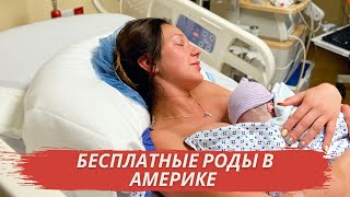 МОЯ ИСТОРИЯ АМЕРИКАНСКИХ РОДОВ