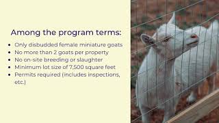 City Council Approves Goat Pilot Program