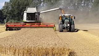 Harvesting in Fuglse