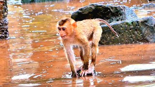 Adorable little Baby LEO takes a swim and enjoys every moment, LEO looking so happy.