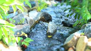 DEEP THOUGHTS ASMR Running water Cascade Waterfall 4k