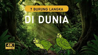 Eksplorasi Keanekaragaman Burung: 7 Jenis Burung Langka yang Wajib Dikenali