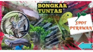 Bongkar tuntas spot perawan