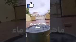 ما هي فوائد ماء المطر؟