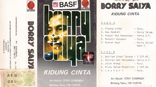 Hanya Untukmu ~ Borry Saiya