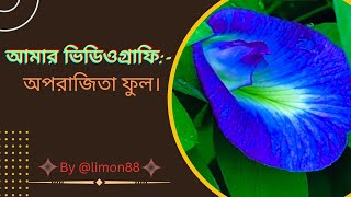 আমার ভিডিওগ্রাফি:- অপরাজিতা ফুল।