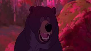 Top 10 Disney Bears