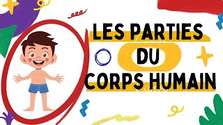 Les parties du corps humain-APPREND LE CORPS HUMAIN