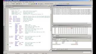 PIC asm Multiple (nested loop) Time Delays