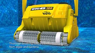 Dolphin Wave 100 Commercial Pool Cleaner