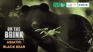 On The Brink S1: Asiatic Black Bear | Trailer