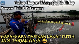 Mancing Kakap Putih Pakai Pelampung Di Tambak STIP Marunda