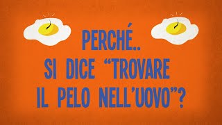 Perché si dice “trovare il pelo nell’uovo”?