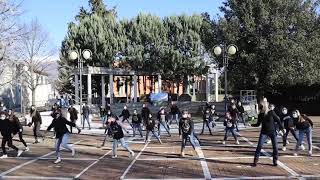 Flashmob Scuola primaria e media "Carnello".