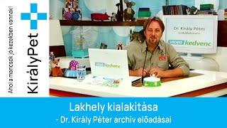 Lakhely kialakítása