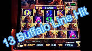 Buffalo Link - 13 Buffalo Line Hit on a $5 Bet for a quick HandPay! #buffalo #buffalolink #handpay