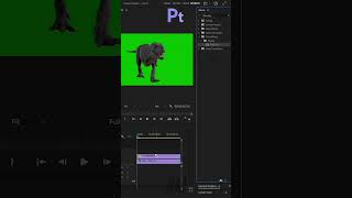 Remove Green Screen in Premiere Pro