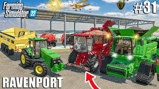 Harvesting 150.000 LITERS of SUNFLOWERS and BEETS | Ravenport #31 | Farming Simulator 22