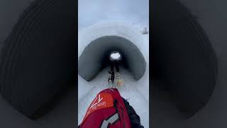 Sledding in Alaska