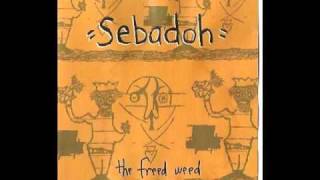 Sebadoh - Pound My Skinny Head