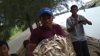 Lucky, Once throwing Fishingnet Get Many Fish