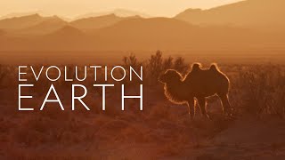 Evolution Earth - 2023 - PBS Documentary Series