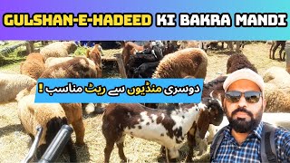 Gulshan-e-Hadeed Ki Bakra Mandi || Dosri Mandiyon Se Rate Buhat He Munasib || Cow Mandi Karachi.