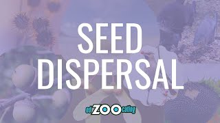 Seed Dispersal | How Seeds are Dispersed by Wind, Water, and Animals | EdZOOcating Adventures