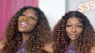 Best Curly Synthetic Wig EVER?! | UNDER $35 | Janet Collection DEE