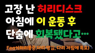 전문가도 잘 모르는 허리디스크에 가장 효과적인 아침운동 소름돋는 결과보장!!