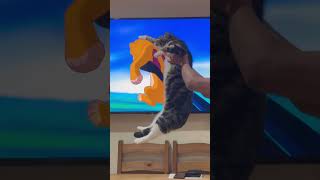 cat simba