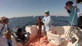 Slaying a Cobia (unedited) - May 2, 2015