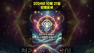 2024년 10월 21일 원숭이띠, 닭띠 오늘의운세!!  #오늘의운세 #띠별운세 #운세 #원숭이띠운세 #닭띠운세 #행운 #shorts