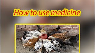 How to use medicine | Medicine kitni or kesy use krni hy | Treatment of ND virus in poultry