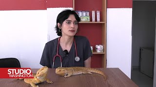 Srebrenička priča sarajevske veterinarke