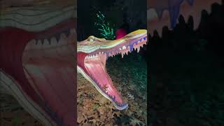 Everything’s Bigger in Texas: “Magic of Houston Zoo’s Million Christmas Lights” (Part 5) #shorts