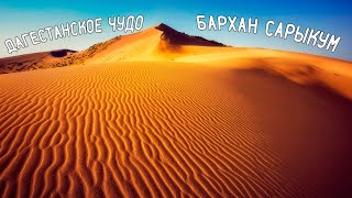 БАРХАН САРЫКУМ - ПРИРОДНОЕ ЧУДО ДАГЕСТАНА || INCREDIBLE DESERT IN THE MIDDLE OF DAGESTANI MOUNTAINS