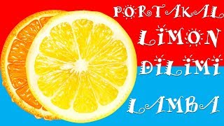 Portakal ve Limon Dilimleri Işık Zinciri Led Lamba tutyakala.com