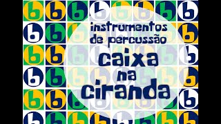 Bateria Brasileira para Brasileirinhos - Instrumentos de percussão - caixa na ciranda