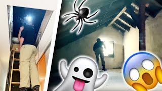 ERSTES MAL ins geheime Zimmer!👻 - Haus News🏡 Ep.1