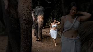 "දෙව්පුර පින්බර ඇතා🐘සමඟ ඇත්කද ලිහිණියා❤️"#girl #animal #photoshoot #viral #youtubeshort #shortsfeed