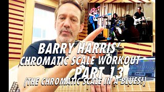 Barry Harry's Chromatic Scale Workout part 13 - The Chromatic Scale in the Blues