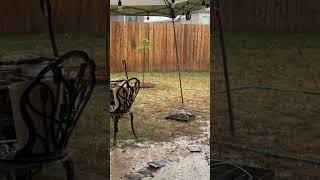 Hail storm Lubbock Texas 6/23/2023