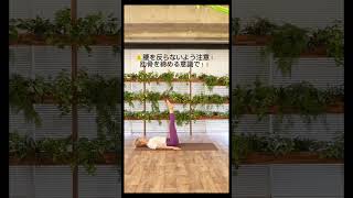 骨格ストレートさんのお腹痩せの方法#shorts #腹筋#ヨガ #骨格ストレート