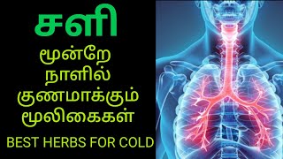 best herbals for cold cough| சளியை மூன்று நாளில் குணமாக்கும் மூலிகைகள்| How to stop cold in Tamil