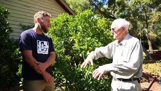 Citrus pruning with Ian Tolley