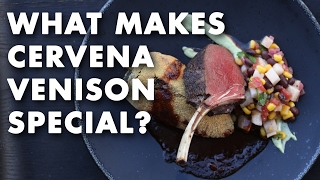 What Makes Cervena Venison Special?  - Q & A Video