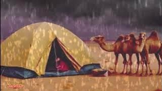 Rain in Sahara Desert | Fall asleep fast | Rain Sound for Sleep