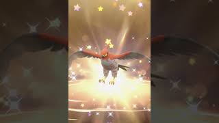 CHAMPIONSHIP TALONFLAME + POKÉMON HORIZONS DOT'S QUAXLY DISTRIBUTION!! Pokémon Scarlet & Violet